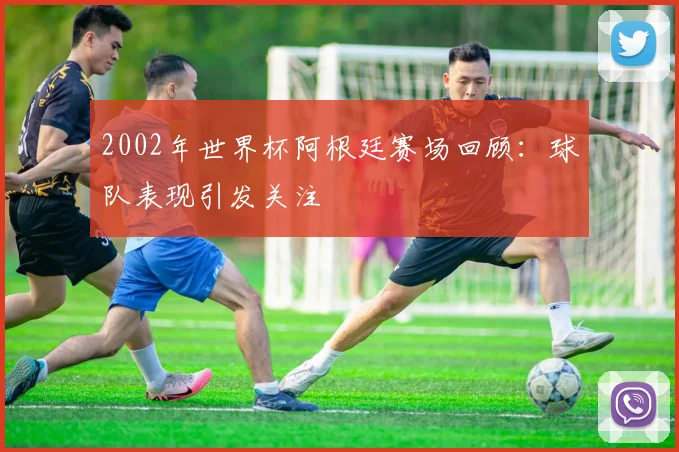 2002年世界杯阿根廷赛场回顾：球队表现引发关注