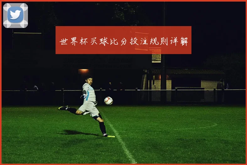 世界杯买球比分投注规则详解