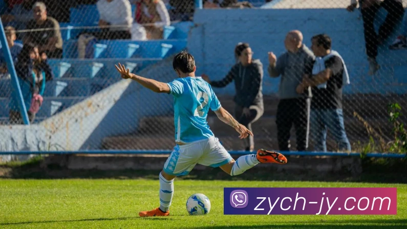 世界杯开户平台平台生态图